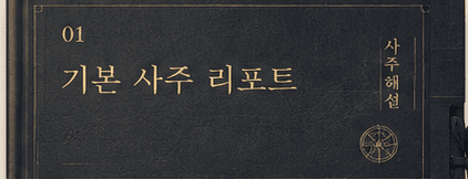 기본 사주 리포트